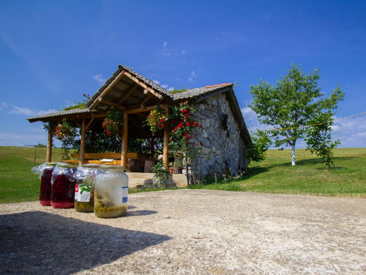 Отель House Josipa Раковица Экстерьер фото